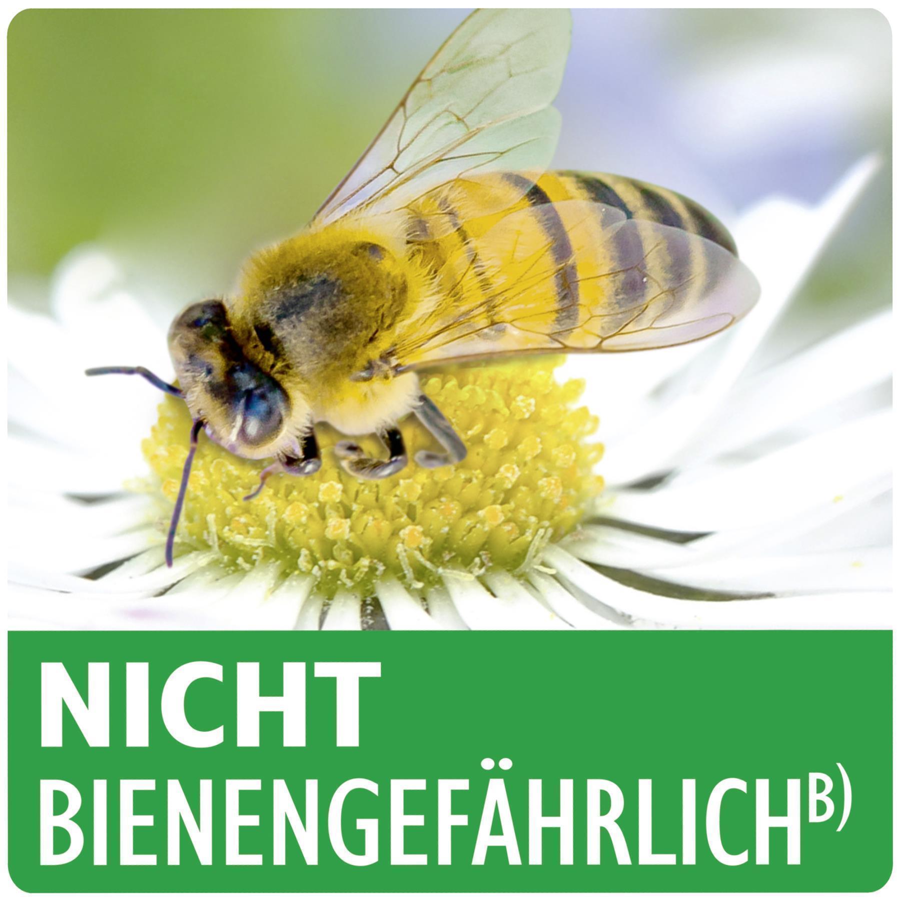 132,67 €/1 kg Netz Schwefelit WG gegen Mehltau an verschiedenen Pflanzen 75 g Faltschachtel