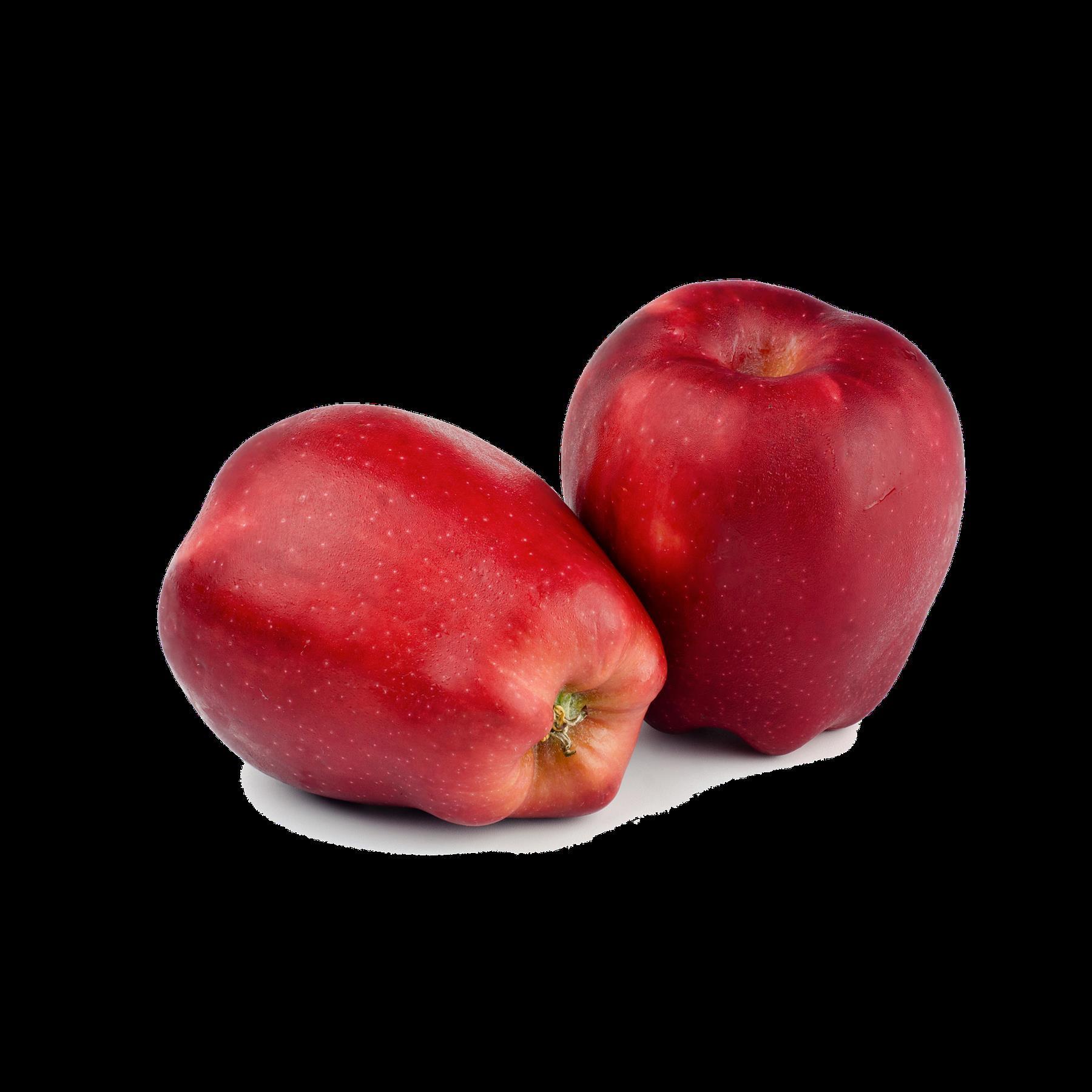 Red Delicious - Winterapfel Zwergbaum Topfballen M26 einjg.