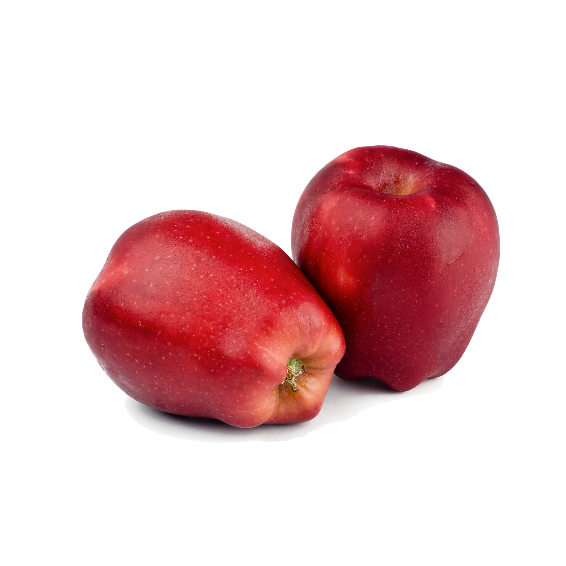 Red Delicious - Winterapfel Zwergbaum Topfballen M26 einjg.