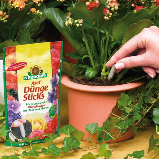 Azet DüngeSticks für Blühpflanzen Blumen Stauden natürliche Rohstoffe 40 Sticks im Standbodenbeutel