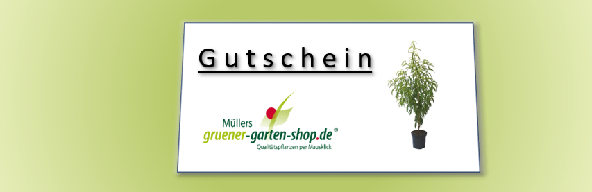 Ein Gutschein für Grüner Garten Shop für Gartenfreunde mit unterschiedlichen Beträgen