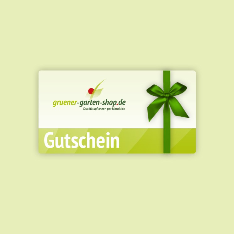 Vorschau eines Gutscheines, in verschiedenen Werten erhältlich. Tolle Geschenkidee.