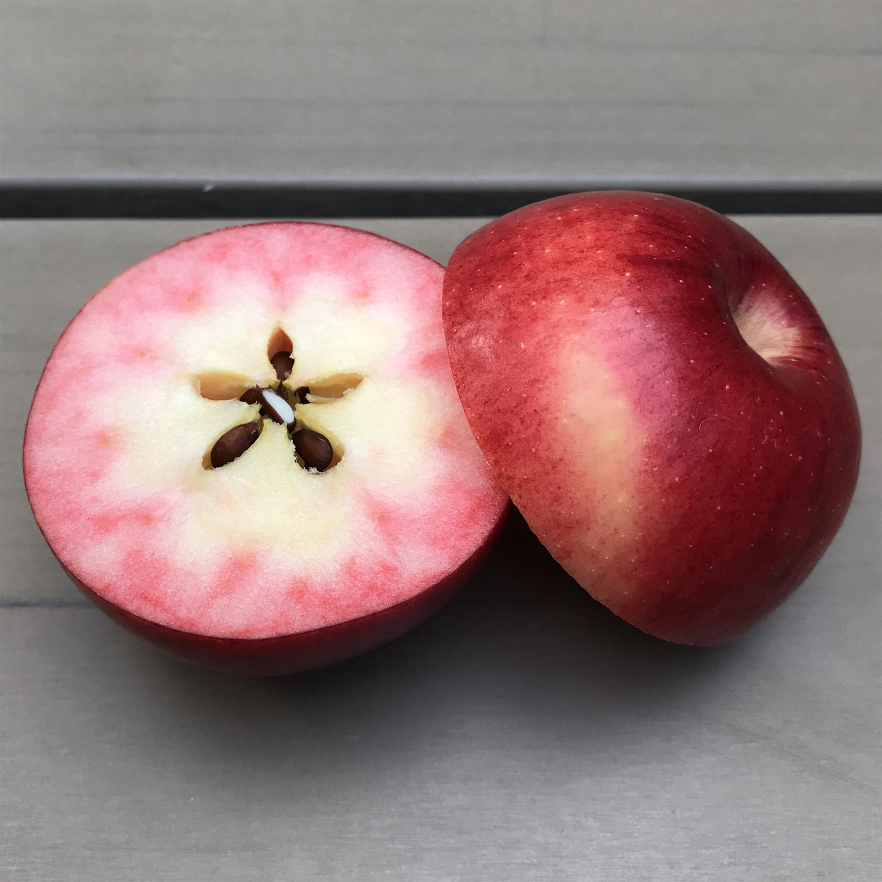 ELMirA (R) Pink Halbstamm